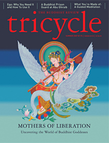 Tricyle Cover Image