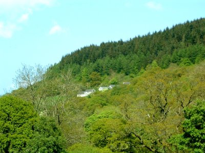 Vajraloka from the fields below